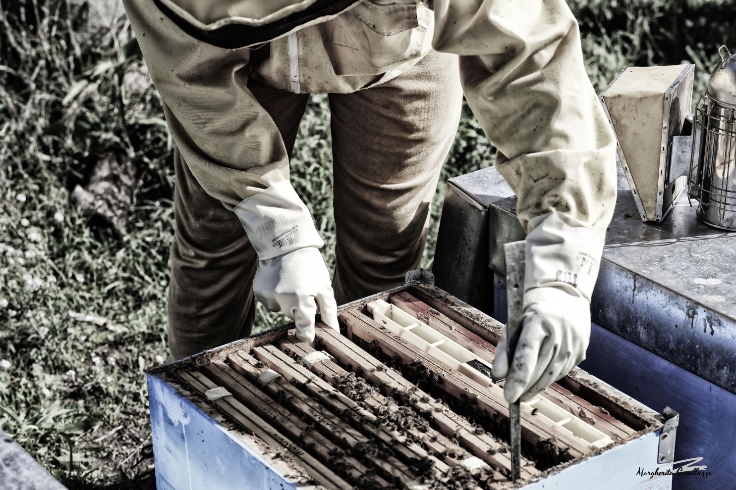 "L'arnia e le custodi della vita" - L'alveare è il rifugio artificiale dove vivere le api e può essere un contenitore di varie forme e dimensioni, costruito con i più svariati materiali e all'interno del quale le api costruiscono i favi, allevano la covata e depositano il miele.