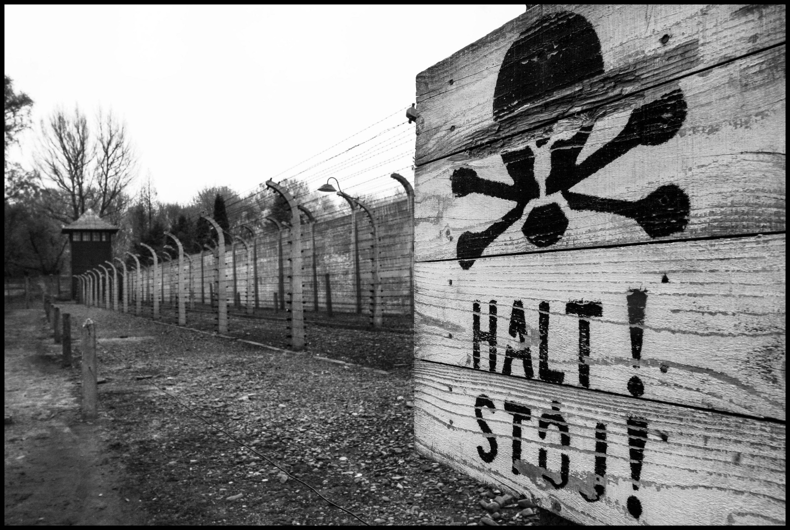 Il campo di concentramento di Auschwitz fu reso operativo dal 14 giugno 1940 ed è stato un vasto complesso di campi di concentramento e di lavoro situato nelle vicinanze della cittadina polacca di Oświęcim dove morirono  circa 70 000 persone.